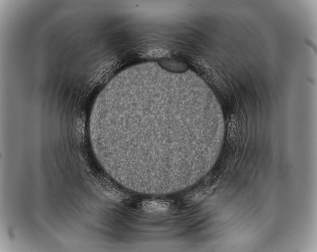 X0000096670739200803041220