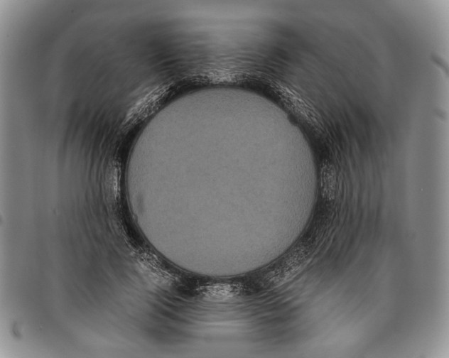 X0000096670740200803041220
