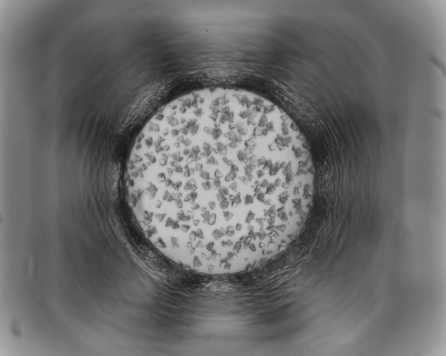 X0000096670742200803041220
