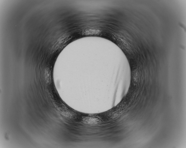 X0000096670743200803041220