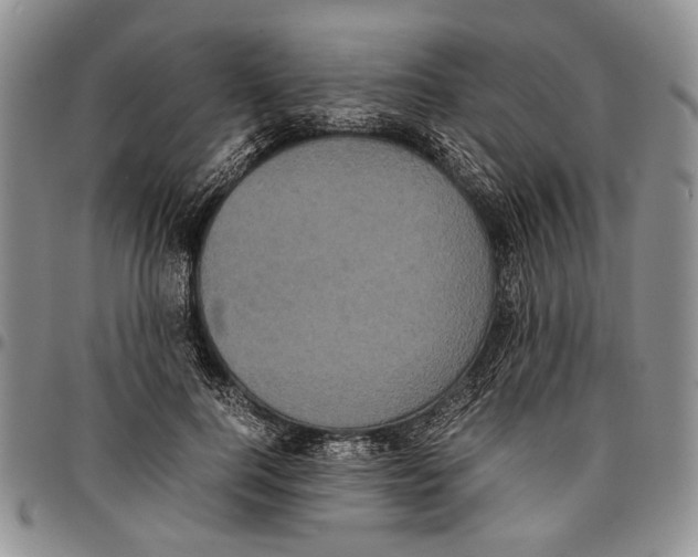 X0000096670744200803041220