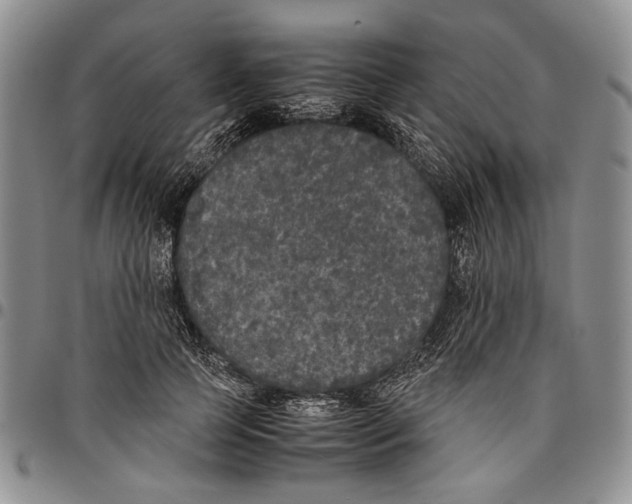 X0000096670745200803041220