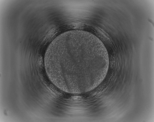 X0000096670748200803041220