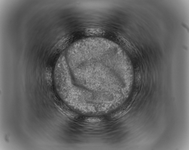X0000096670749200803041220