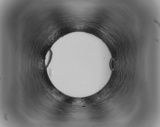 X0000096670750200803041220
