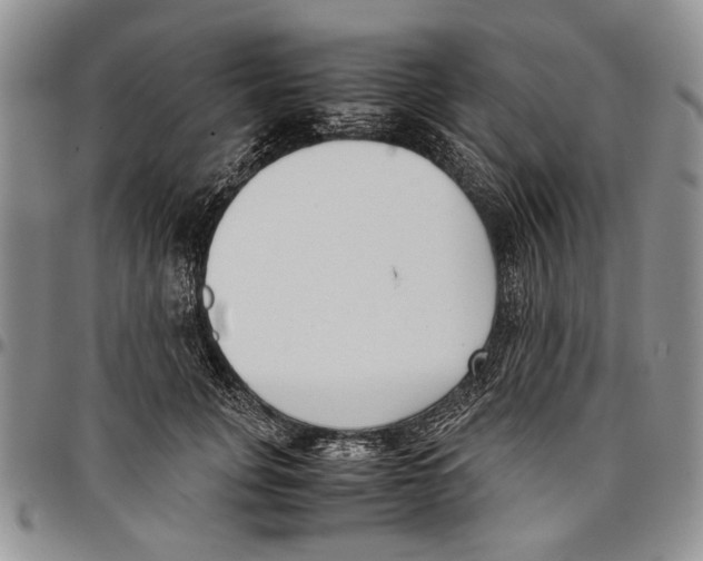 X0000096670751200803041220