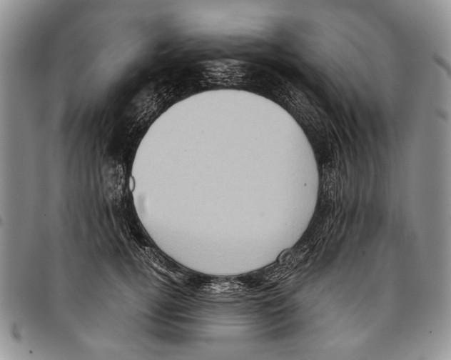 X0000096670752200803041220