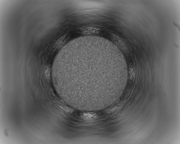 X0000096670753200803041220