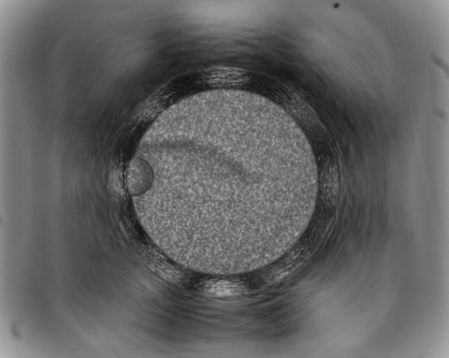 X0000096670755200803041220