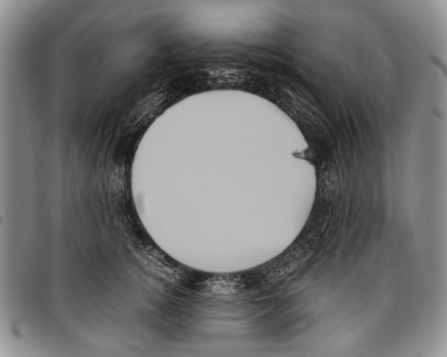 X0000096670756200803041220