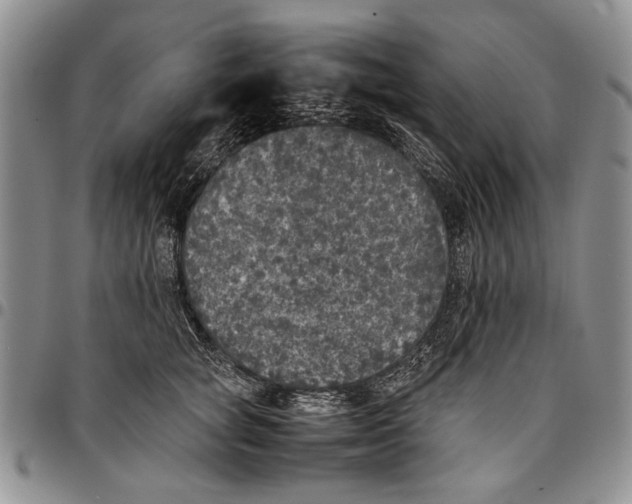 X0000096670757200803041220