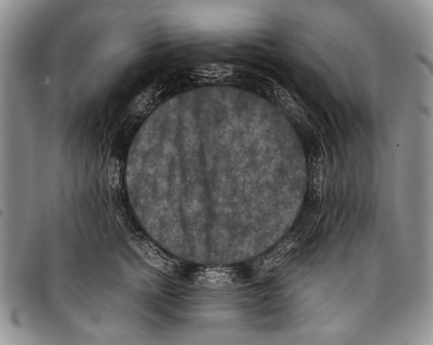 X0000096670758200803041220