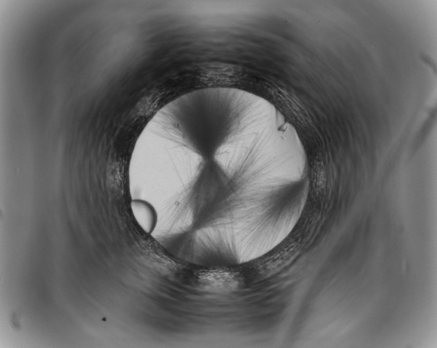X0000096670759200803041220