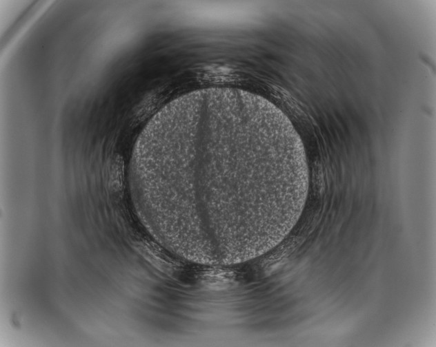 X0000096670760200803041220