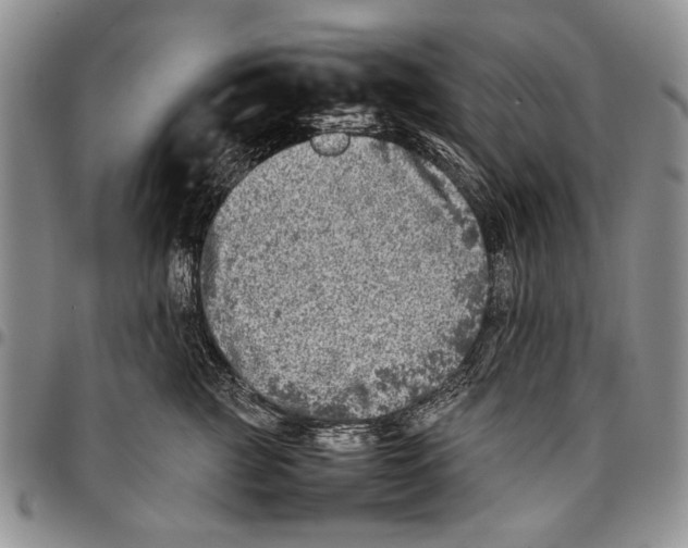 X0000096670761200803041220