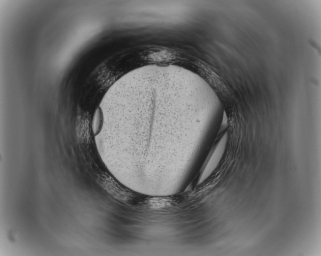 X0000096670762200803041220