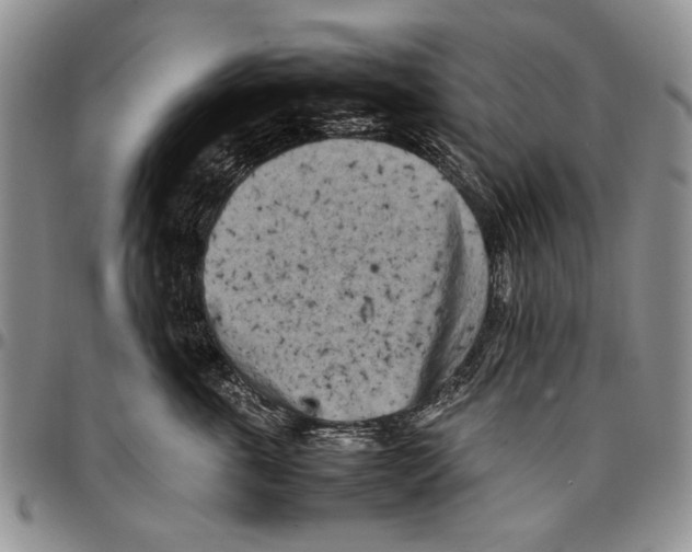X0000096670763200803041220