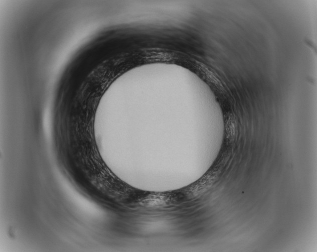 X0000096670764200803041220