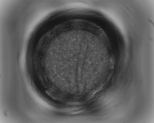 X0000096670765200803041220