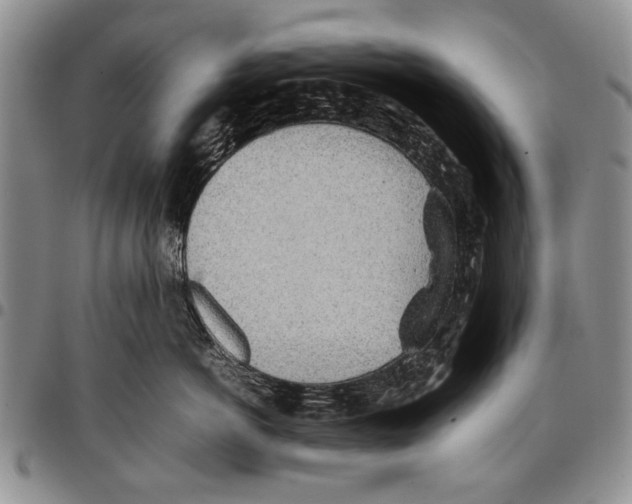 X0000096670766200803041220