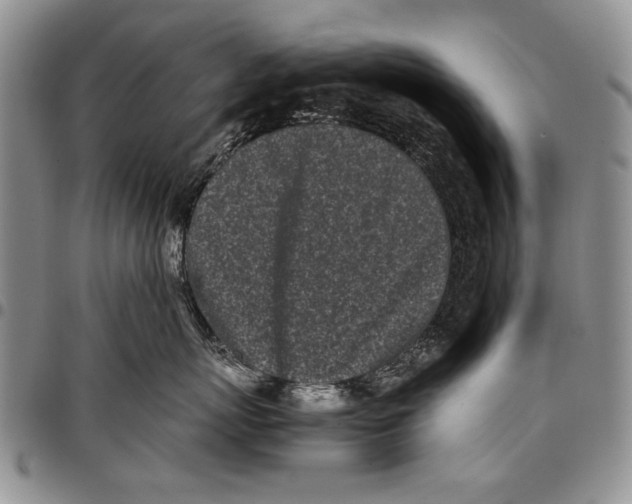 X0000096670767200803041220