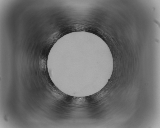 X0000096670768200803041220