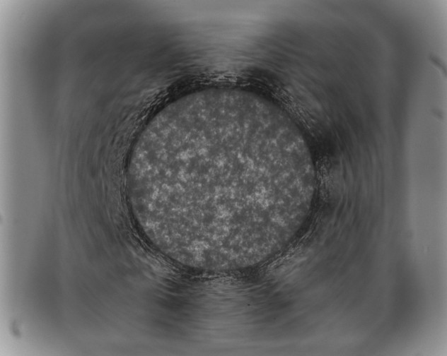 X0000096670769200803041220