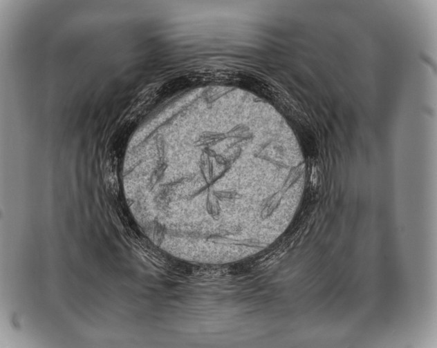 X0000096670771200803041220