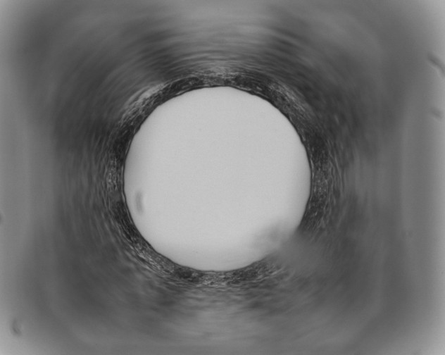 X0000096670773200803041220