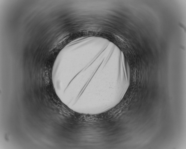 X0000096670774200803041220