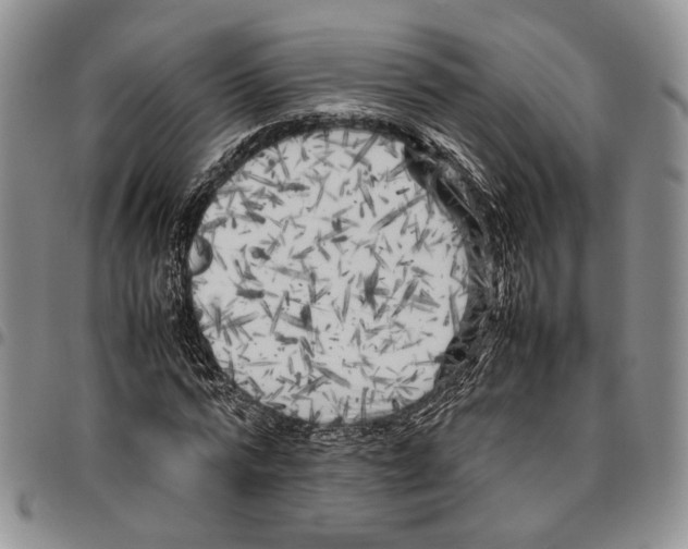 X0000096670776200803041220