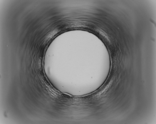 X0000096670777200803041220