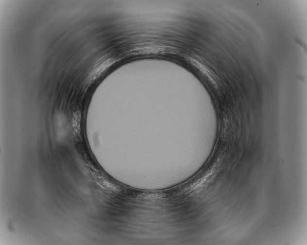 X0000096670778200803041220