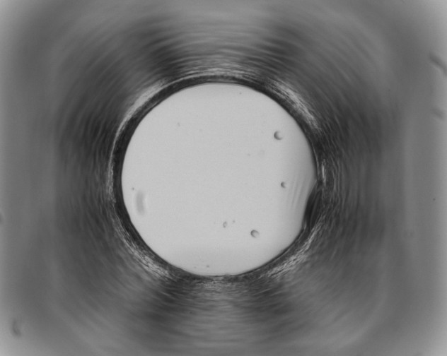 X0000096670780200803041220