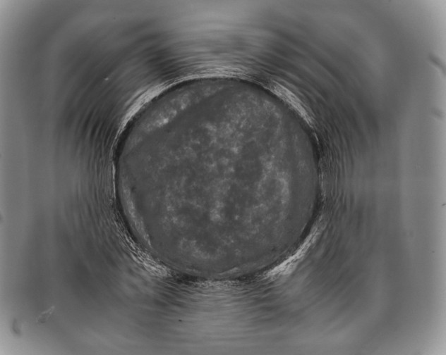 X0000096670781200803041220