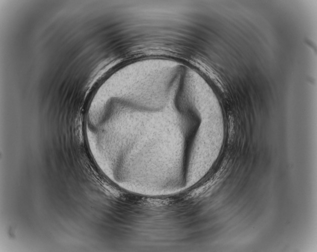 X0000096670782200803041220