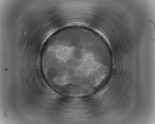 X0000096670783200803041220