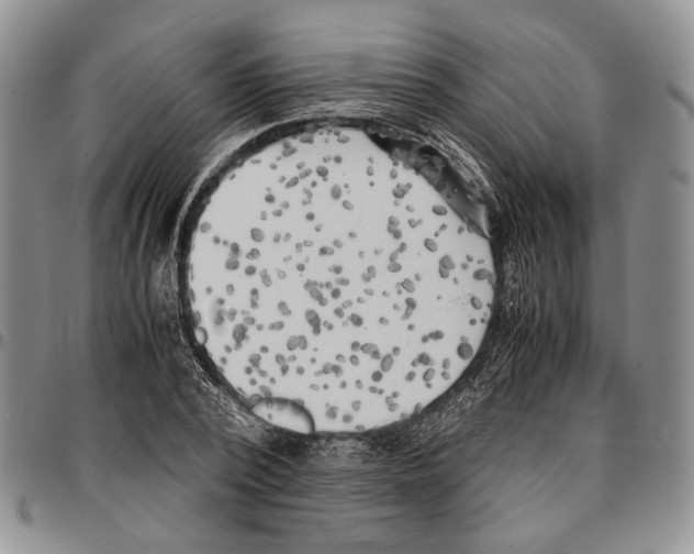 X0000096670784200803041220