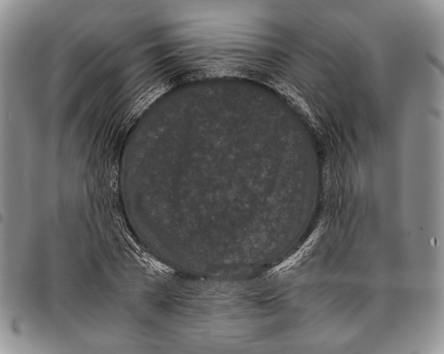 X0000096670785200803041220