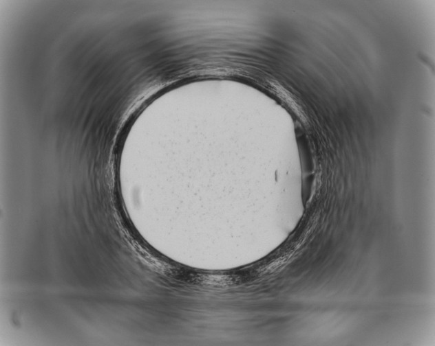X0000096670787200803041219