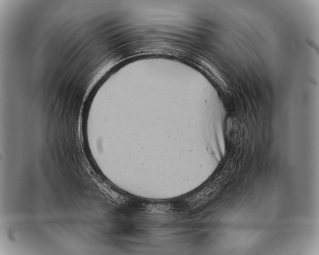 X0000096670788200803041219
