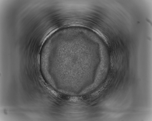 X0000096670790200803041219