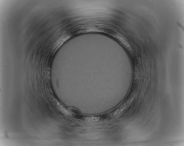 X0000096670793200803041219