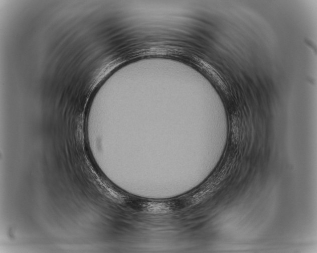 X0000096670794200803041219