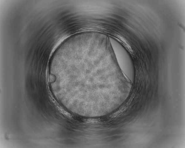 X0000096670796200803041219