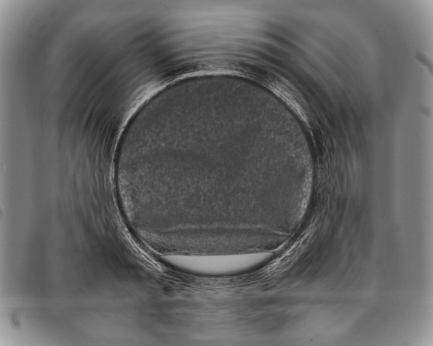 X0000096670797200803041219
