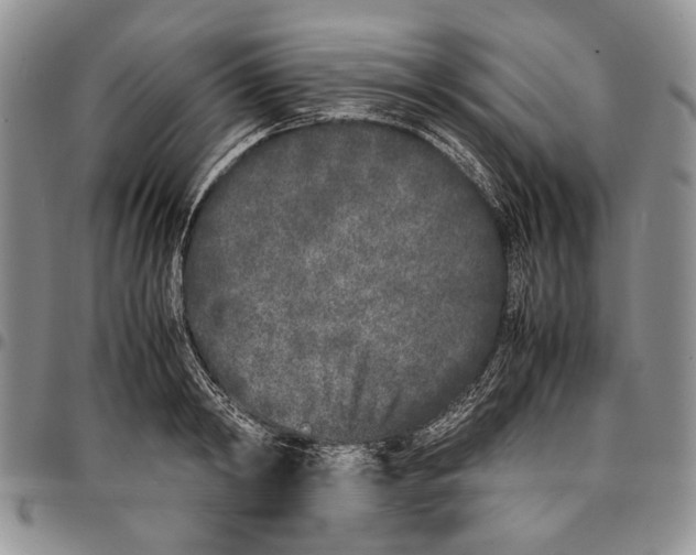 X0000096670798200803041219