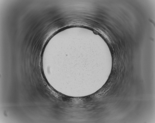 X0000096670799200803041219