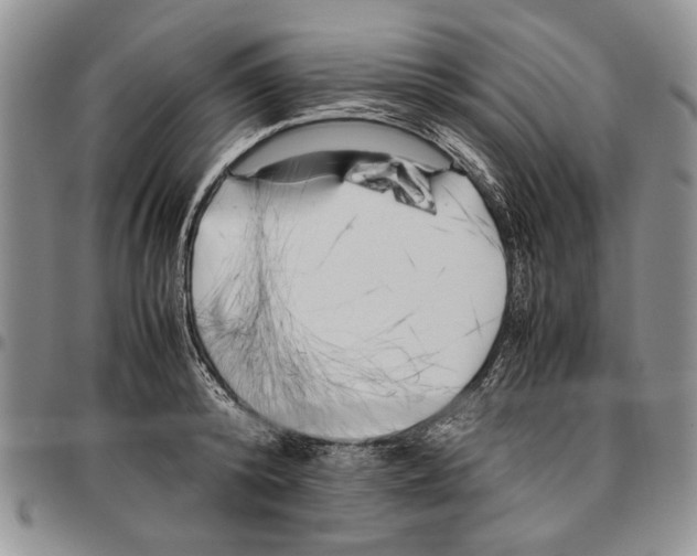 X0000096670800200803041219