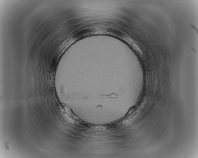 X0000096670801200803041219